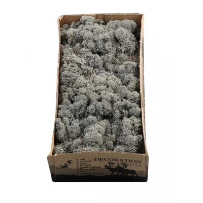 Reindeer moss ANTRASİT şoklanmış norveç yosunu (250GR)
