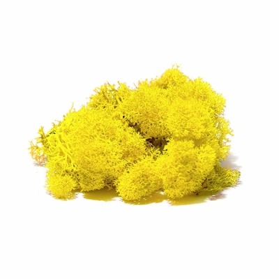 Reindeer moss SARI şoklanmış norveç yosunu (30GR)