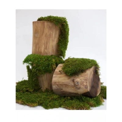 Flatmoss Kara Yosunu 500 Gr. Doğal Kaya Yosunu