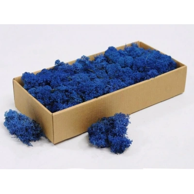 Reindeer moss mavi şoklanmış norveç yosunu