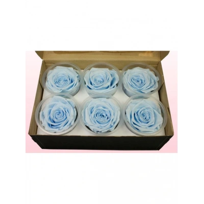 Rose Amor BLU-89 MAVİ şoklanmış solmaz gül XL 1 KUTU (6 ADET GÜL)