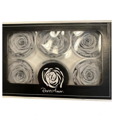 Rose Amor GRİ şoklanmış solmaz gül XL 6 lı paket