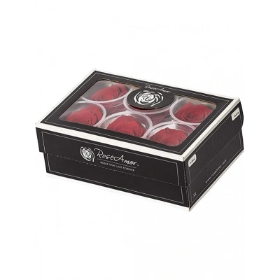 Rose Amor red-02 kırmızı şoklanmış solmaz gül XL 1 KUTU (6 ADET GÜL)