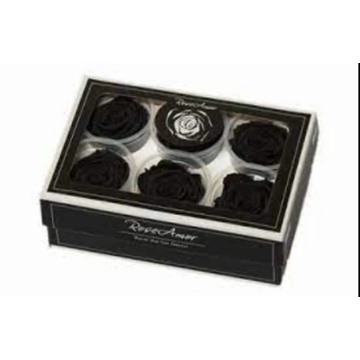 Rose Amor SİYAH şoklanmış solmaz gül XL 6 lı paket