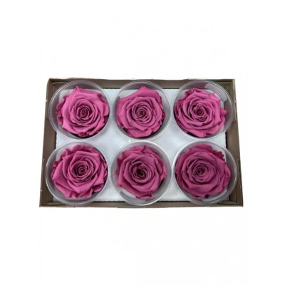 Rose Amor VİO-02 MENEKŞE RENGİ şoklanmış solmaz gül XL 1 KUTU (6 ADET GÜL)