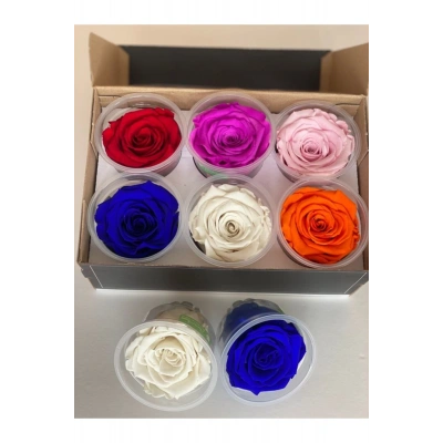 Şoklanmış 6lı Karışık Xl Solmayan Gül