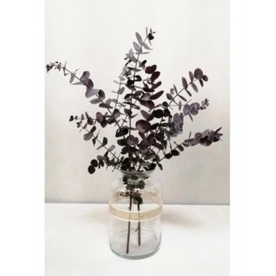 Şoklanmis Küçük Kırmızı Okaliptus Demeti