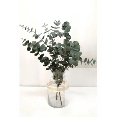 Şoklanmis Küçük Yapraklı Mavi Okaliptus Demeti