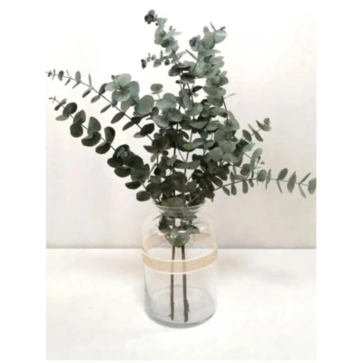 Şoklanmis Küçük Yapraklı Yeşil Okaliptus Demeti