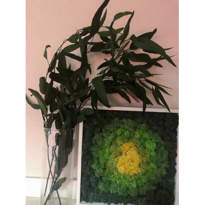 Şoklanmış Nikoly Demeti