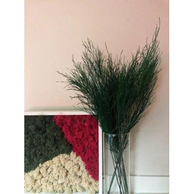 Şoklanmış Tikky Fern Demeti