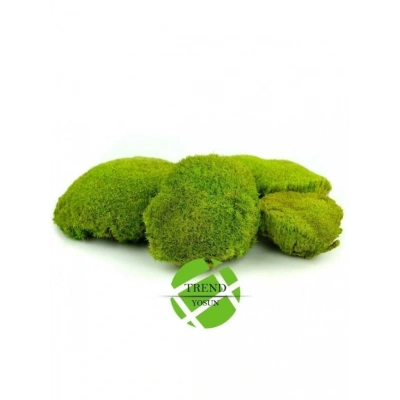 Top Yosun Şoklanmış Ort.250 Gr. Ballmoss Yosun Açık Yeşil