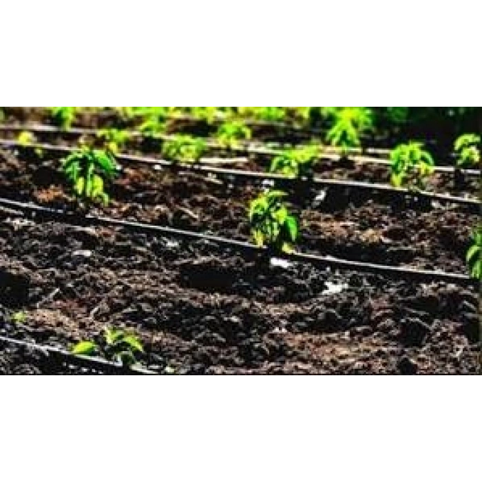 100 Metre 16MM Damlama Sulama Hortumu