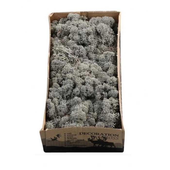 Reindeer moss ANTRASİT şoklanmış norveç yosunu (250GR)