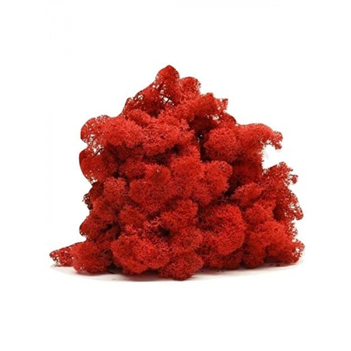 Reindeer moss KIRMIZI şoklanmış norveç yosunu (250GR)