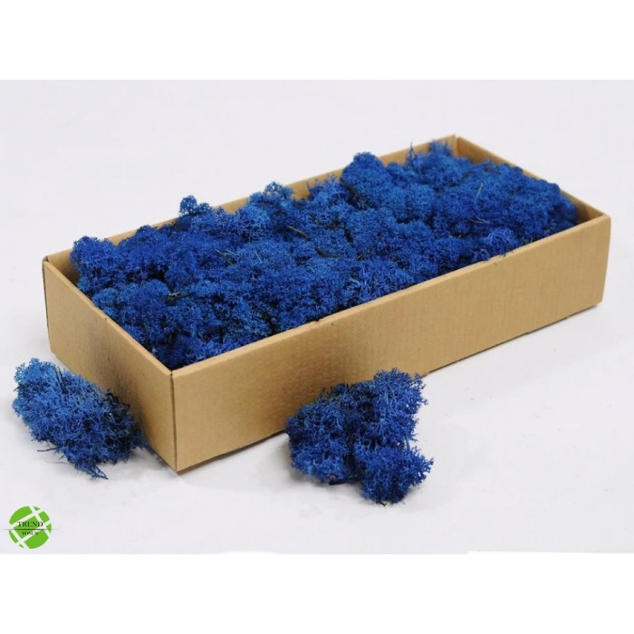 Reindeer moss MAVİ şoklanmış norveç yosunu (250GR)