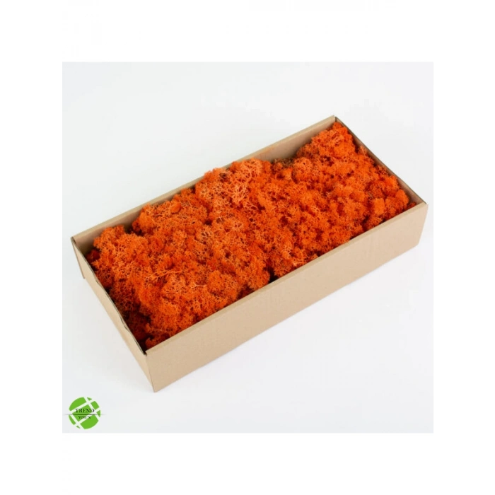 Reindeer moss TURUNCU şoklanmış norveç yosunu (30GR)