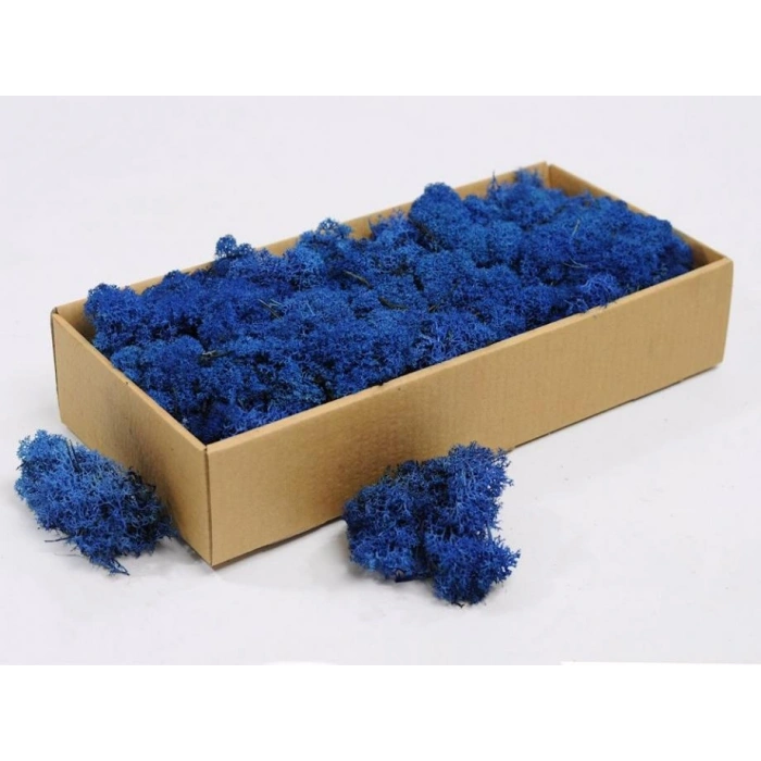 Reindeer moss MAVİ şoklanmış norveç yosunu (30GR)
