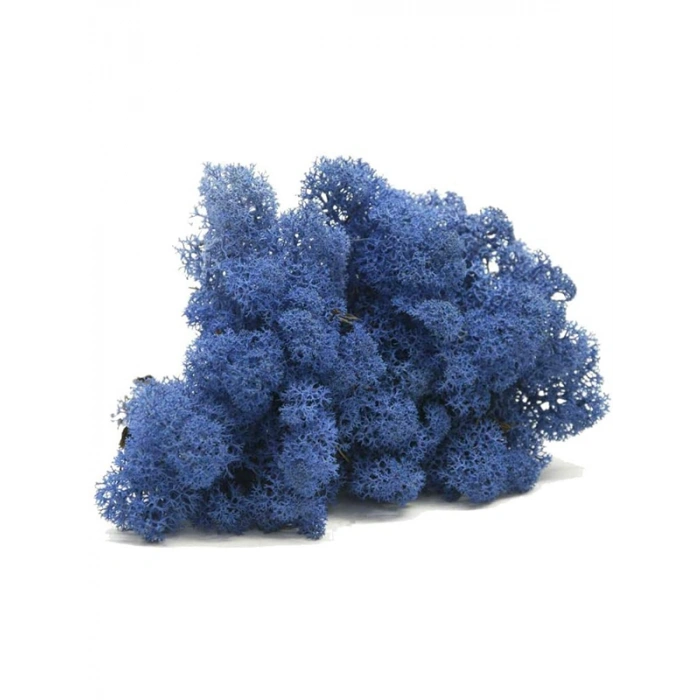 Reindeer moss MAVİ şoklanmış norveç yosunu (30GR)