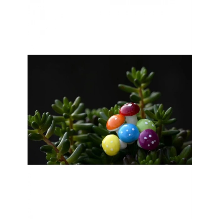 Karışık Renklerde Mantar Teraryum Minyatür Süsleme (25 ADET)