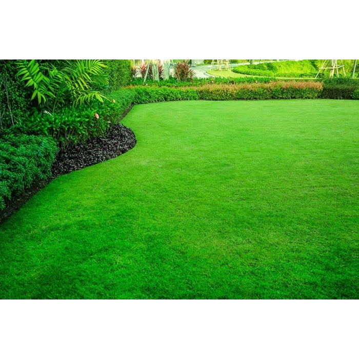 6m prestige çim tohumu 10 kg