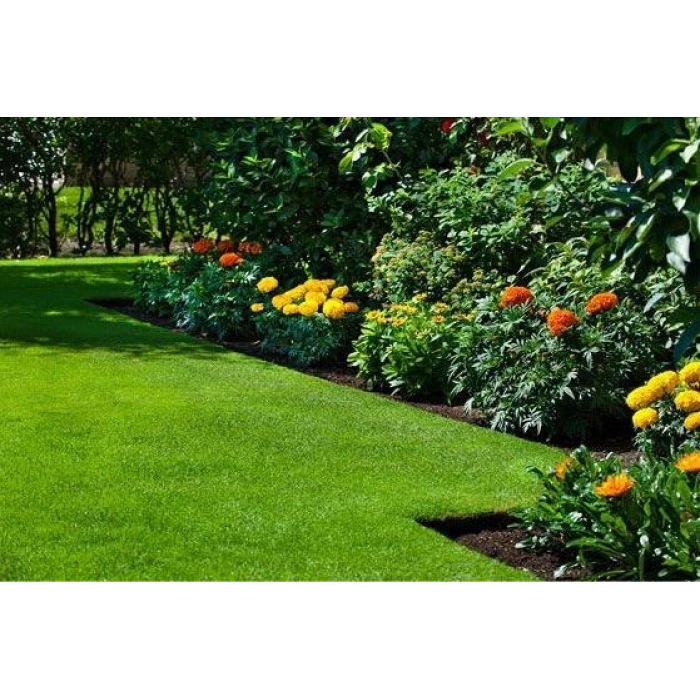 Genta Çim Tohumu 6 Karışım