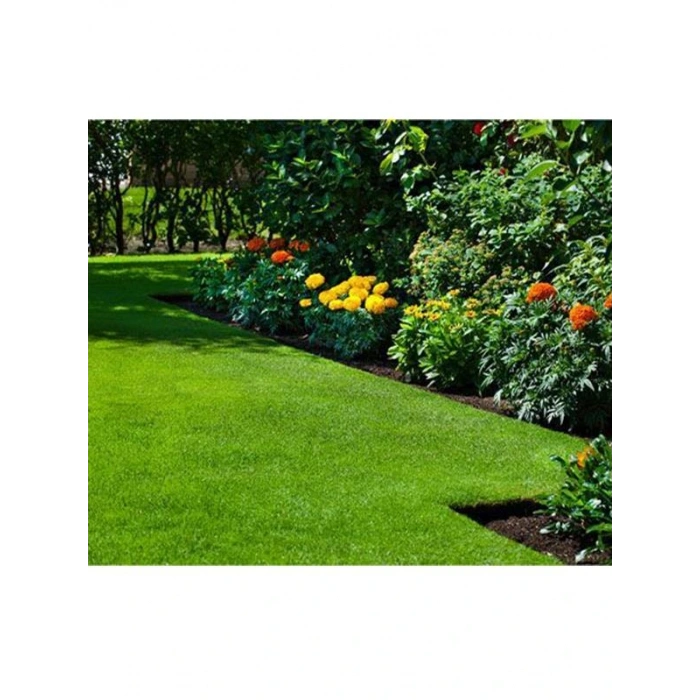 GRAND MASTER SEED Çim Tohumu Ithal 4lü Karışım