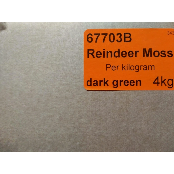 Reindeer moss dark green şoklanmış norveç yosunu 4 kg