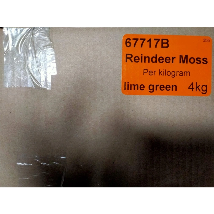 Reindeer moss lime green şoklanmış norveç yosunu 4 kg