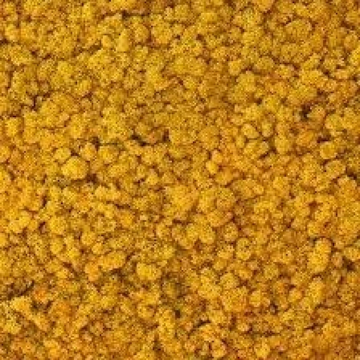 Reindeer moss sarı (hardal) şoklanmış norveç yosunu