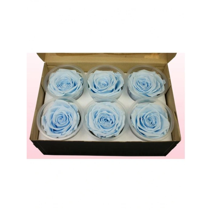 Rose Amor BLU-89 MAVİ şoklanmış solmaz gül XL 1 KUTU (6 ADET GÜL)