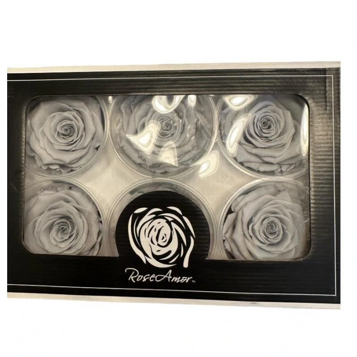 Rose Amor GRİ şoklanmış solmaz gül XL 6 lı paket