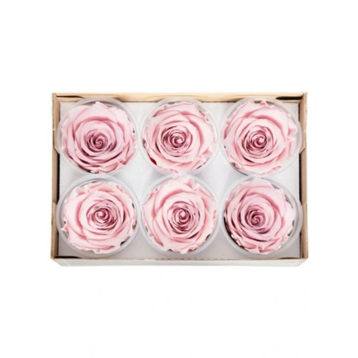 Rose Amor PİNK - 04 PEMBE şoklanmış solmaz gül XL 1 KUTU (6 ADET GÜL)
