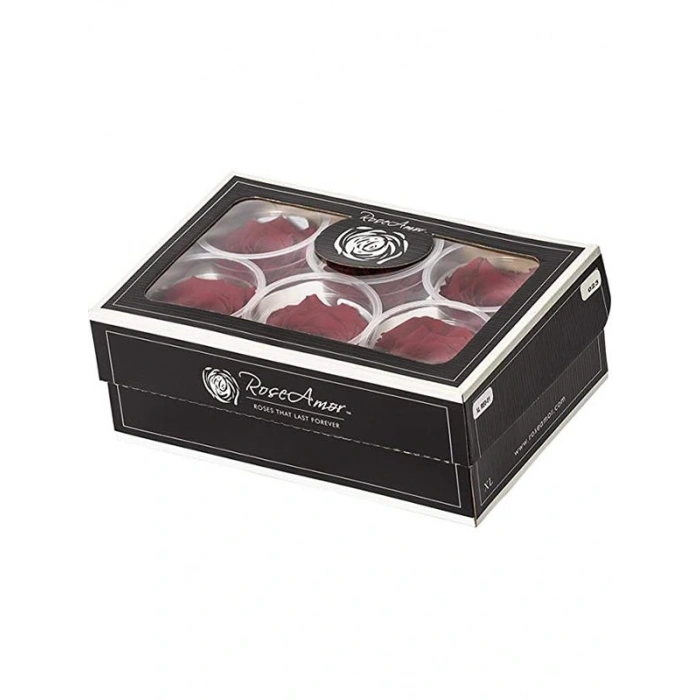 Rose Amor red-01 KOYU KIRMIZI şoklanmış solmaz gül XL 1 KUTU (6 ADET GÜL)
