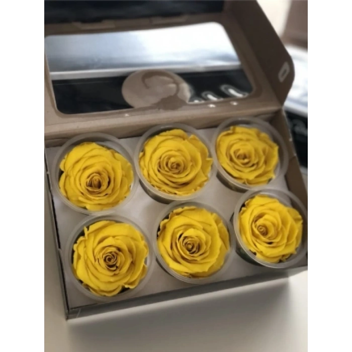 Rose Amor SARI şoklanmış solmaz gül XL 6 lı paket