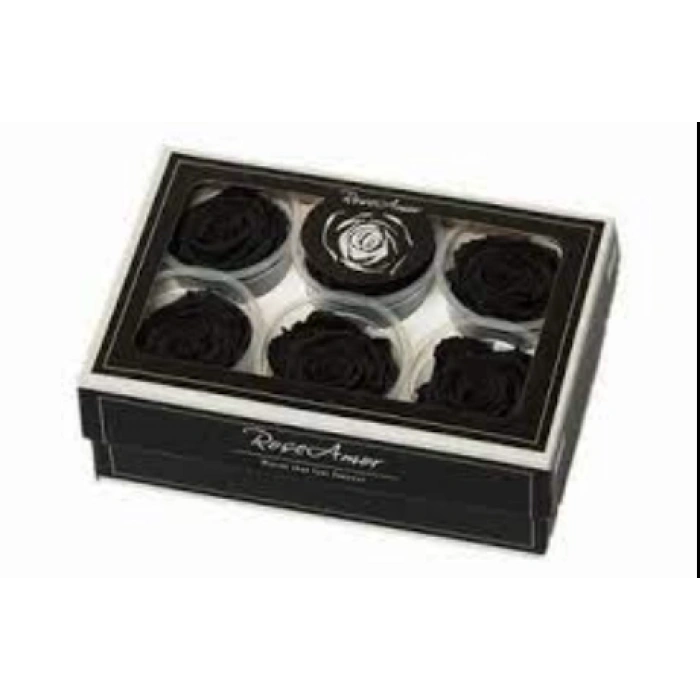 Rose Amor SİYAH şoklanmış solmaz gül XL 6 lı paket