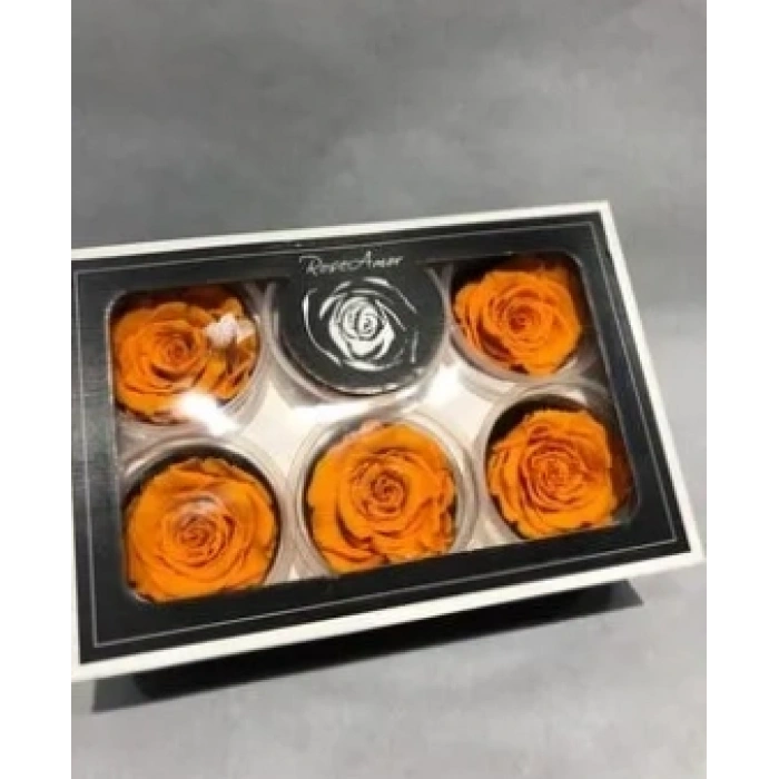 Rose Amor TURUNCU şoklanmış solmaz gül XL 6 lı paket