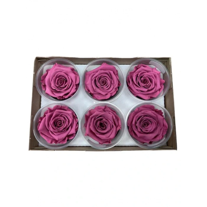 Rose Amor VİO-02 MENEKŞE RENGİ şoklanmış solmaz gül XL