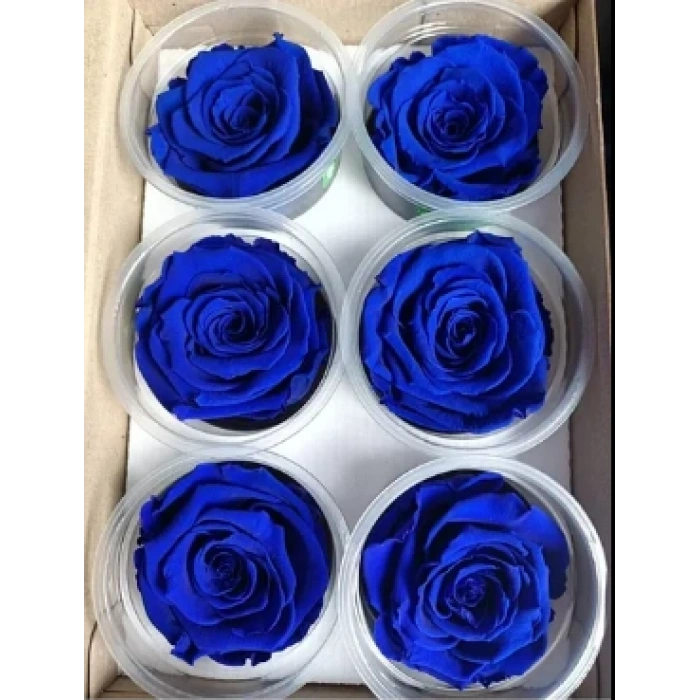 Rose Amor WHİ-04 LACİVERT şoklanmış solmaz gül 6 lı paket