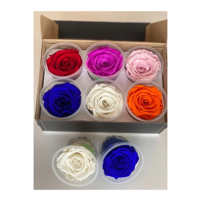Şoklanmış 6lı Karışık Xl Solmayan Gül