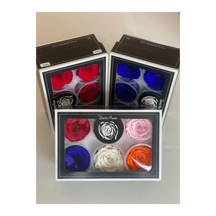 Şoklanmış 6lı Karışık Xl Solmayan Gül