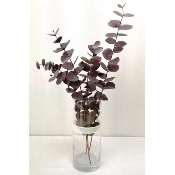 Şoklanmis Büyük Kırmızı Okaliptus Demeti