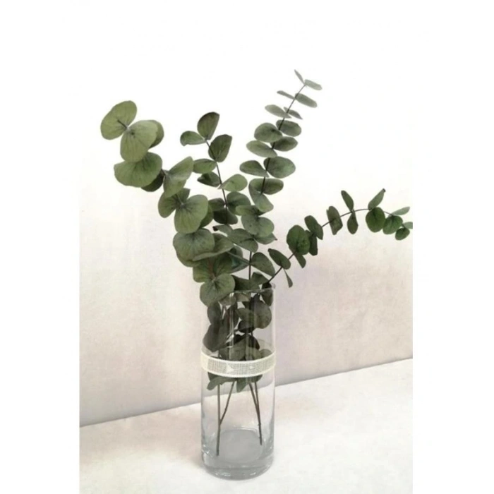 Şoklanmis Büyük Yeşil Okaliptus Demeti