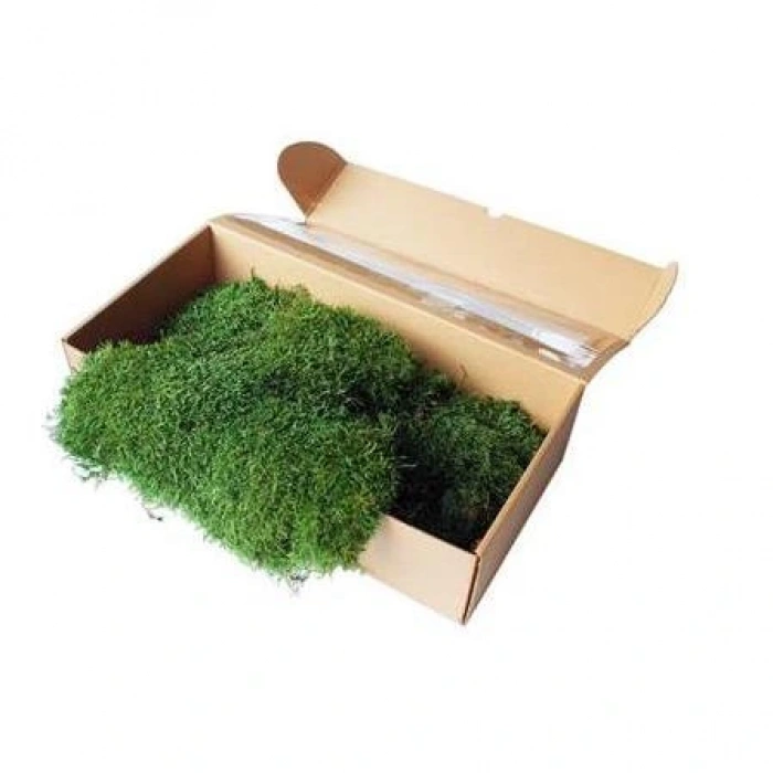 Şoklanmış Flatmoss Kara Yosunu 250 Gr.