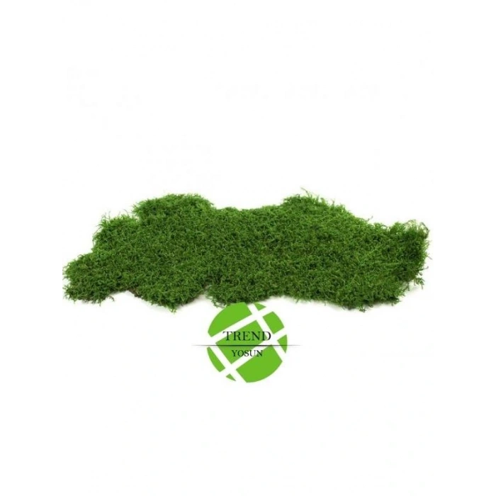 Şoklanmış Flatmoss Kara Yosunu 250 Gr.