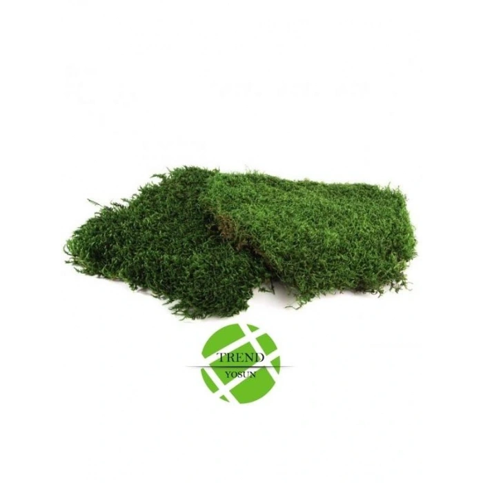 Şoklanmış Flatmoss Kara Yosunu 250 Gr.