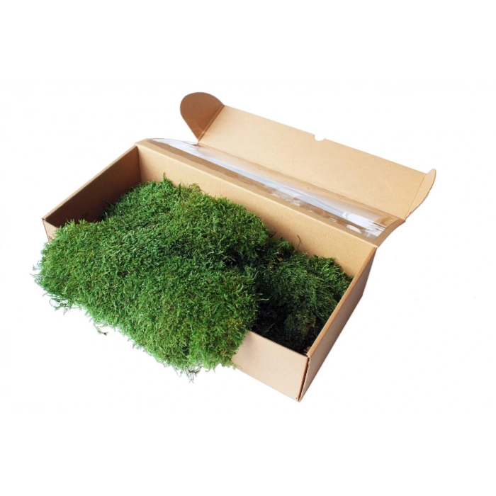 Şoklanmış Flatmoss Kara Yosunu 500 Gr.