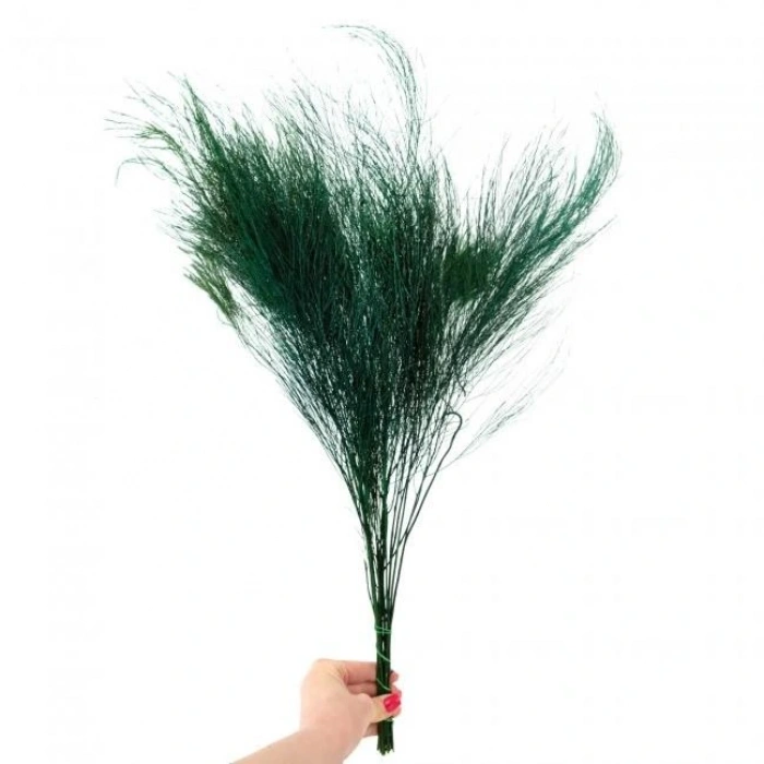 Şoklanmış Korunmuş Ticky Fern