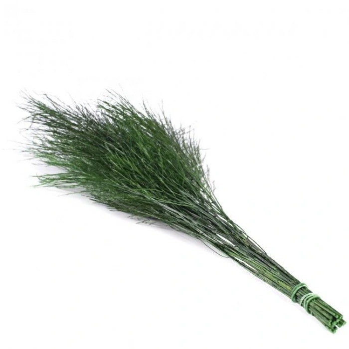 Şoklanmış Korunmuş Ticky Fern