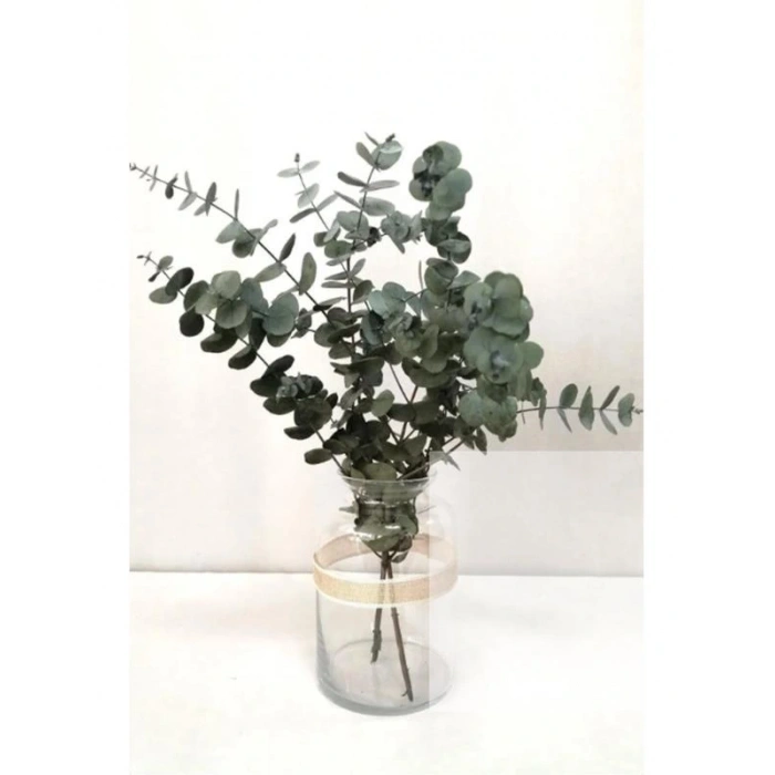 Şoklanmis Küçük Yapraklı Mavi Okaliptus Demeti